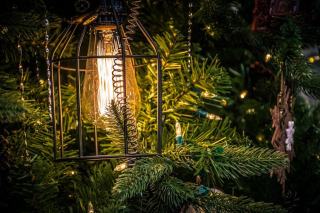 Ampoule led plaque immatriculation : ampoule LED voiture