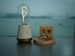 Ampoule h16 : ampoule LED haute performance pour voiture