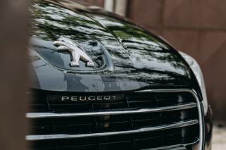 Veilleuses blanc pur pour Peugeot 206